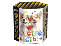 Счастье есть! Салют купить в Белгороде | belgorod.salutsklad.ru