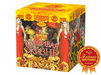 Красивая жизнь Фейерверк купить в Белгороде | belgorod.salutsklad.ru