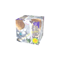 Новогодняя ночь Салют купить в Белгороде | belgorod.salutsklad.ru