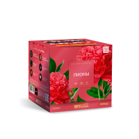 Пионы Салют купить в Белгороде | belgorod.salutsklad.ru