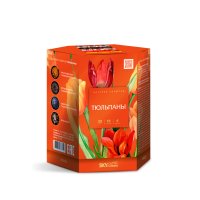 Тюльпаны Салют купить в Белгороде | belgorod.salutsklad.ru