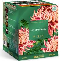 Хризантемы Фейерверк купить в Белгороде | belgorod.salutsklad.ru