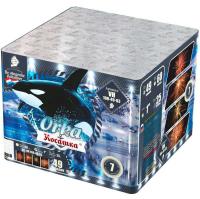 Косатка Фейерверк купить в Белгороде | belgorod.salutsklad.ru