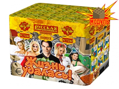 Жизнь удалась Фейерверк купить в Белгороде | belgorod.salutsklad.ru