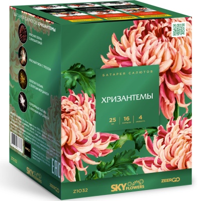 Хризантемы Фейерверк купить в Белгороде | belgorod.salutsklad.ru