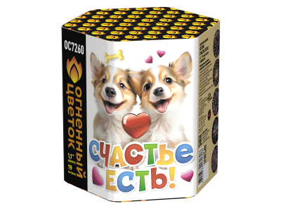 Счастье есть! Салют купить в Белгороде | belgorod.salutsklad.ru