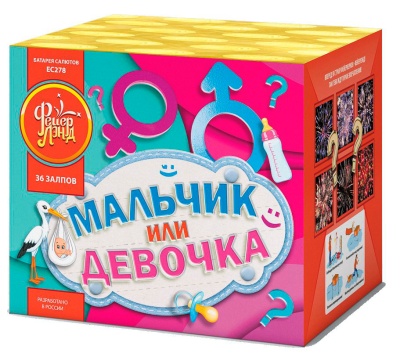 Мальчик или девочка М Фейерверк купить в Белгороде | belgorod.salutsklad.ru